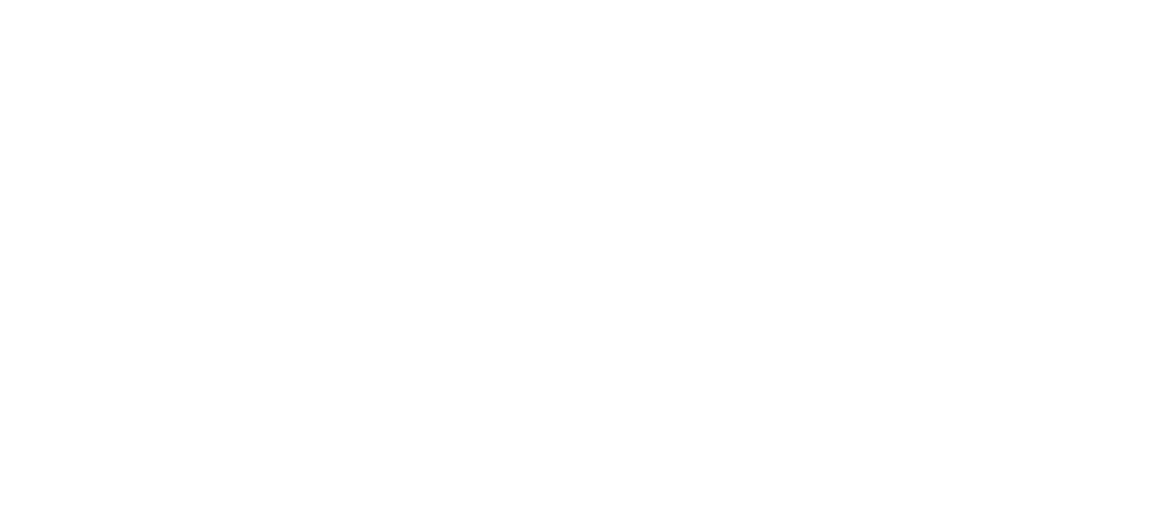 Logo LYNE FEST